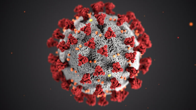 COVID-19 virus microscopy image